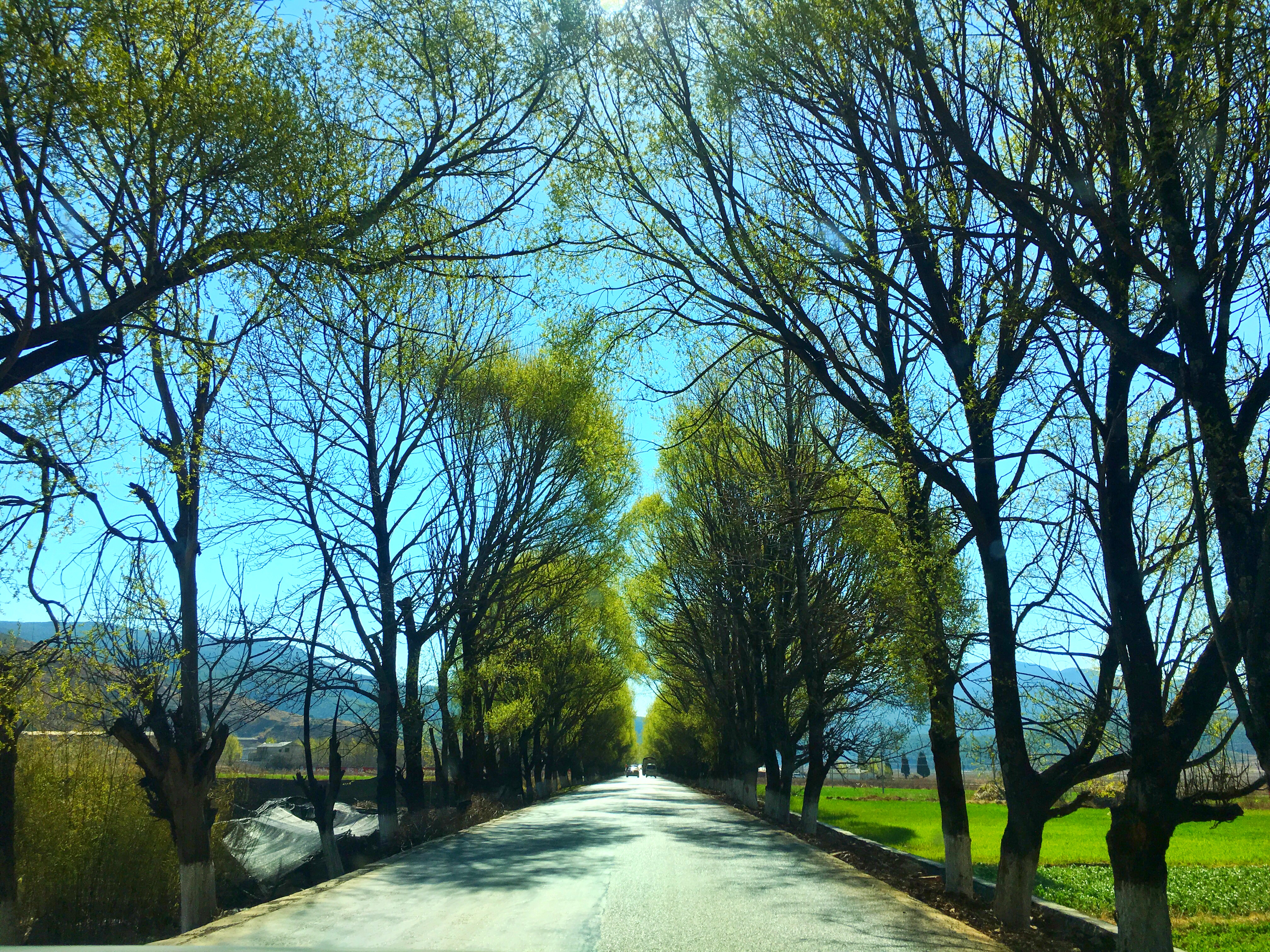 云南麗江自駕游