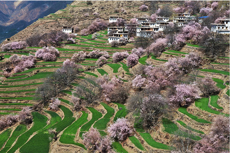 林芝自駕游租車 林芝自駕游租車