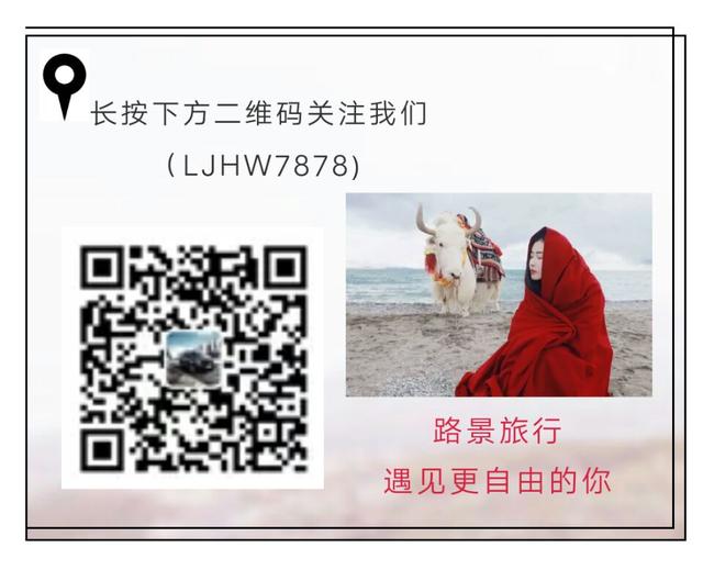 租車咨詢公眾號