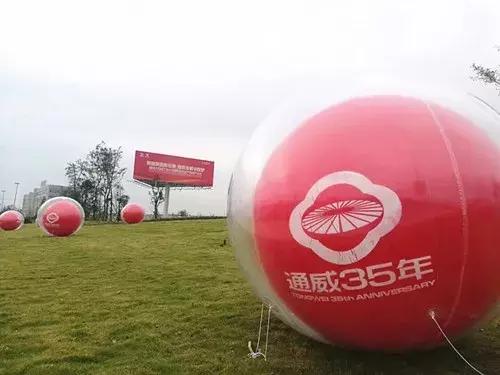 通威集團(tuán)用車