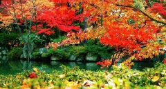 成都米亞羅自駕游租車