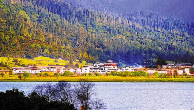 川藏線魯朗小鎮