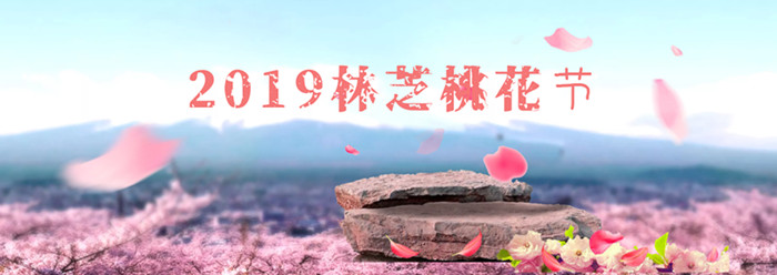 林芝桃花節成都到西藏包車多少錢