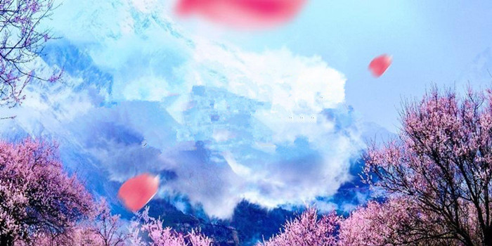 西藏旅游租車價格