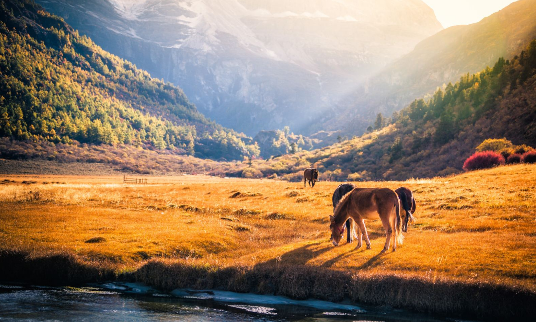 成都租車到拉薩可不可以異地還車