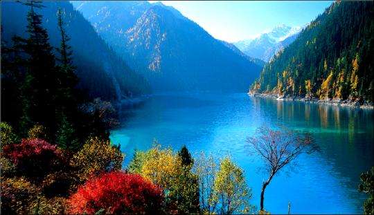 成都租車去九寨溝多少錢?