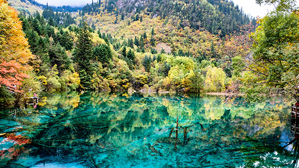 成都旅游租車(chē)自駕九寨溝