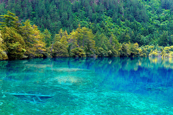 租車四天，去九寨黃龍怎么玩？